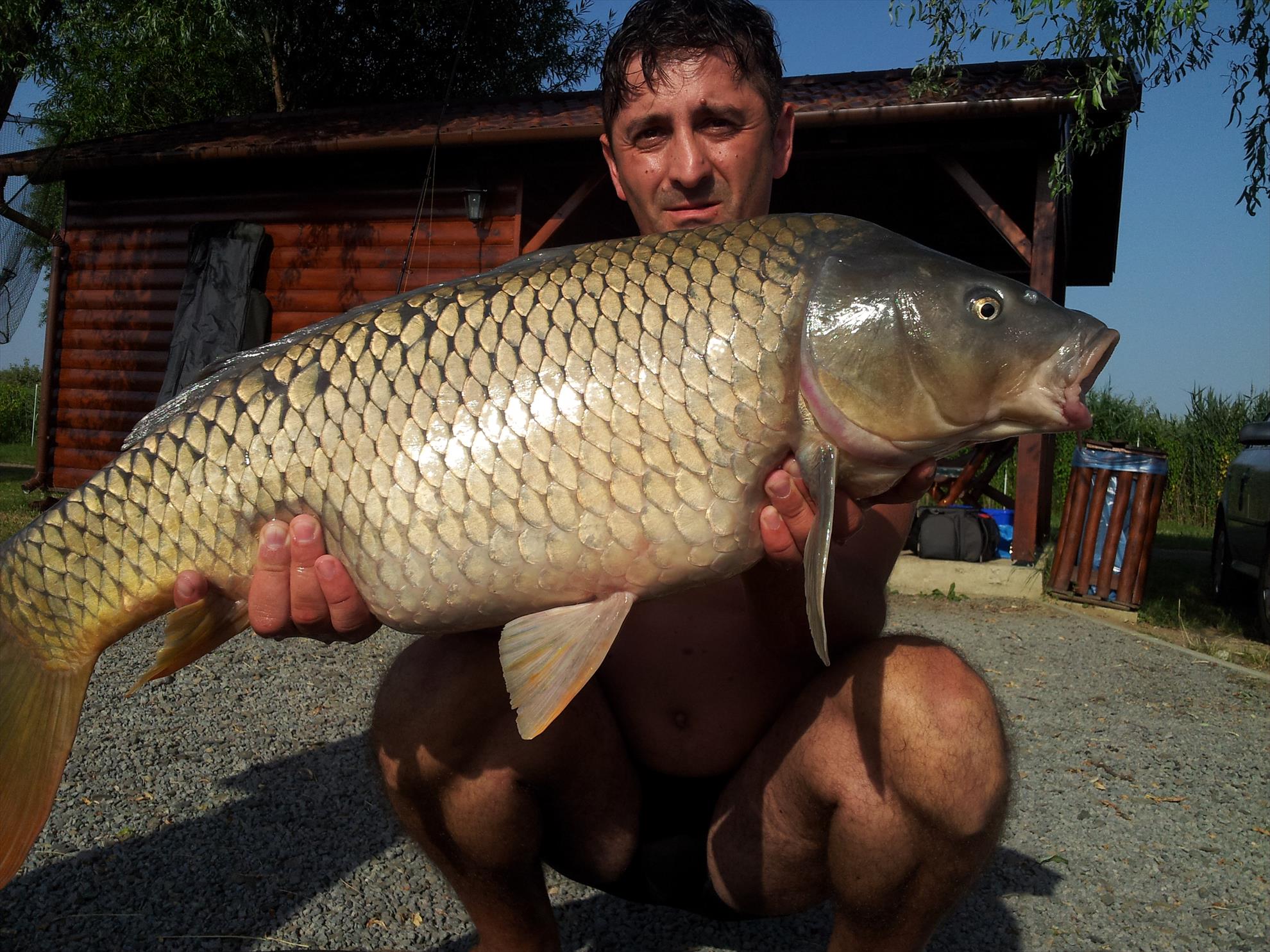 Pe maluri de ape - 20120705181922.jpg